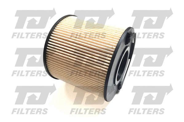 Fuel Filter (QFF0421)