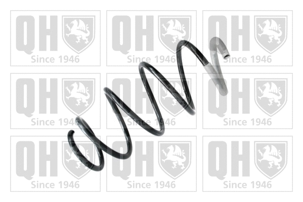 Suspension Spring (QCS5511)