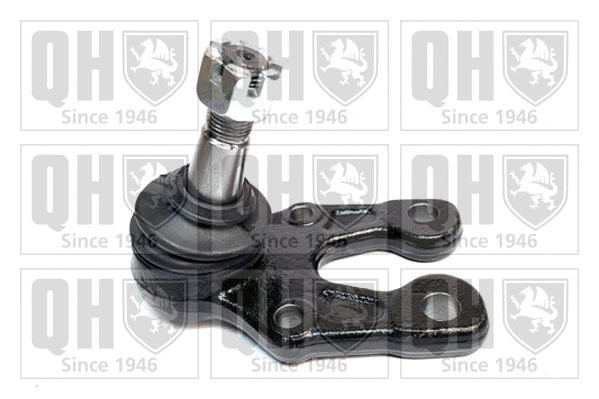 Ball Joint (QSJ3869S)