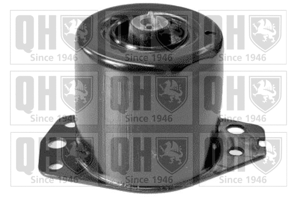 Mounting, engine (EM3128)