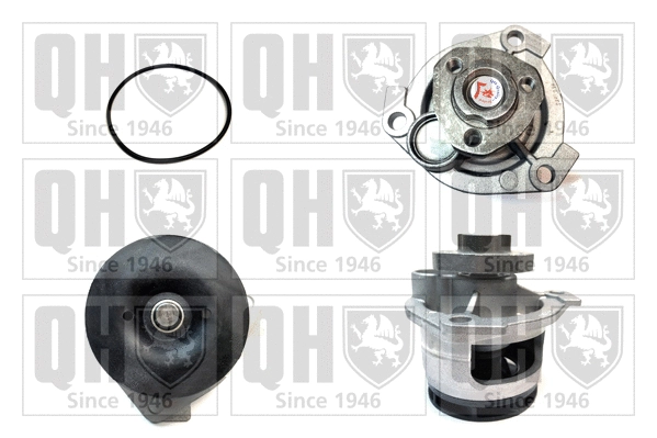 Water Pump, engine cooling (QCP3387)
