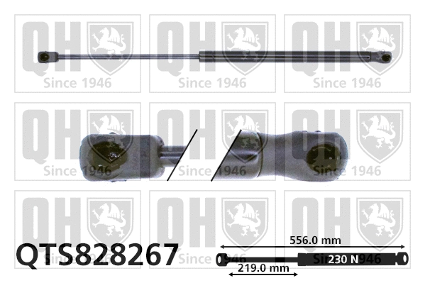 Gas Spring, boot/cargo area (QTS828267)