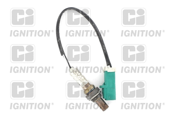 Lambda Sensor (XLOS1446)