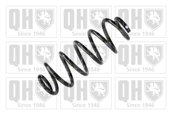Suspension Spring (QCS6646)