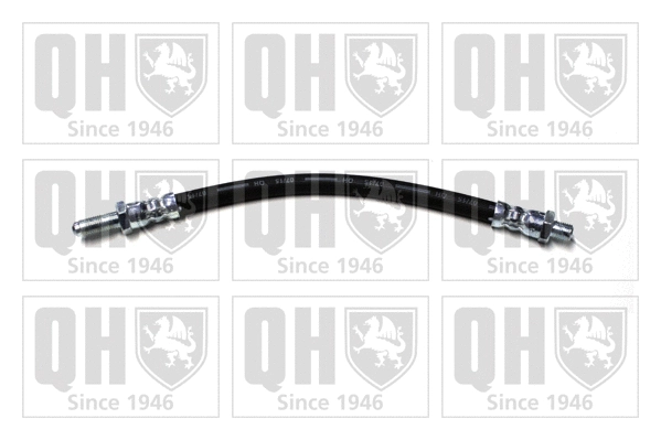 Brake Hose (BFH4166)