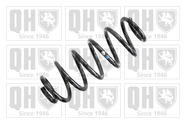 Suspension Spring (QCS7565)