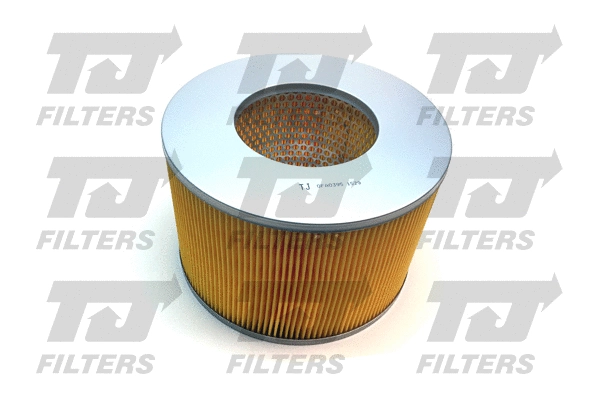 Air Filter (QFA0395)