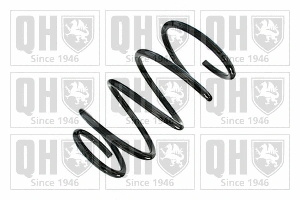 Suspension Spring (QCS6762)