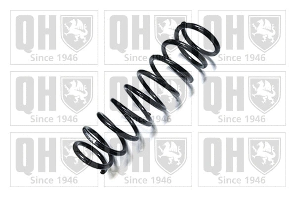 Suspension Spring (QCS6535)