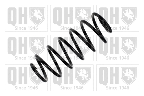 Suspension Spring (QCS5866)