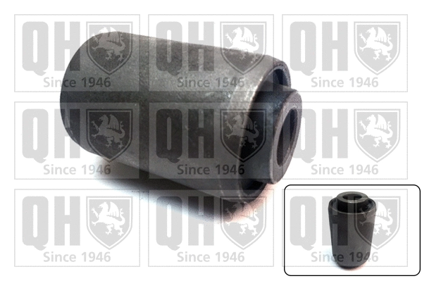 Mounting, control/trailing arm (EMS8646)