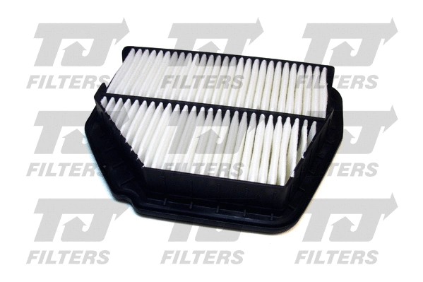 Air Filter (QFA0618)