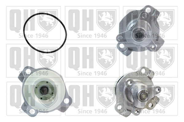 Water Pump, engine cooling (QCP3662)