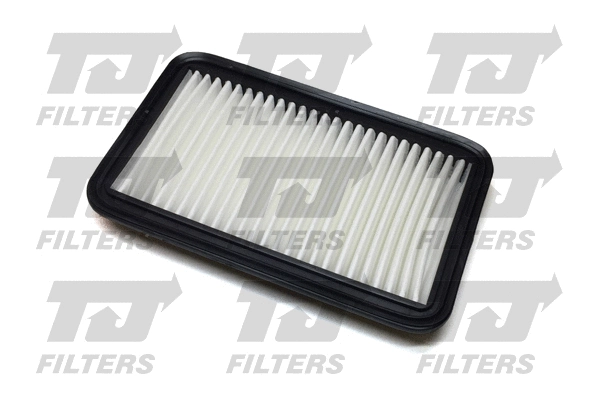 Air Filter (QFA0912)
