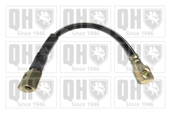 Brake Hose (BFH4539)