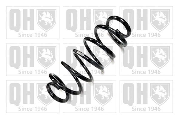 Suspension Spring (QCS7947)