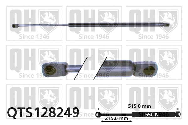 Gas Spring, boot/cargo area (QTS128249)