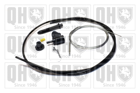 Accelerator Cable (QTC4178)