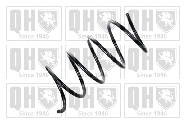 Suspension Spring (QCS6467)