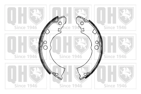 Brake Shoe Set (BS610)