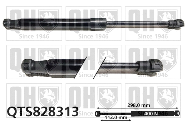 Gas Spring, bonnet (QTS828313)