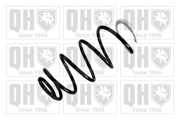 Suspension Spring (QCS6880)