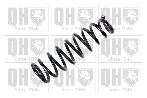 Suspension Spring (QCS6622)