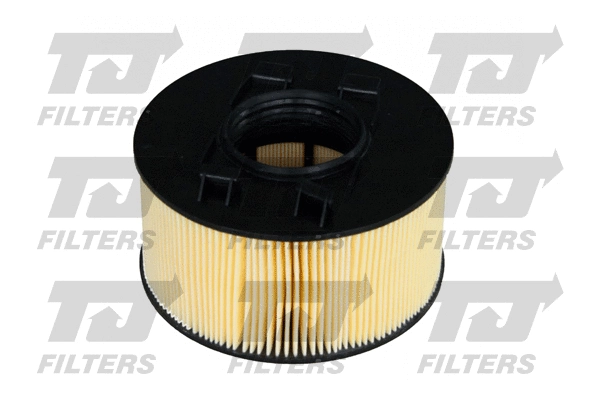 Air Filter (QFA0275)