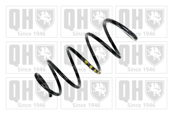 Suspension Spring (QCS5565)