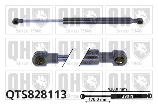 Gas Spring, boot/cargo area (QTS828113)