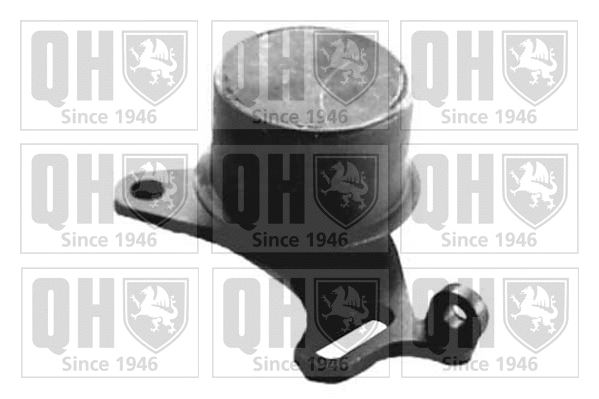Tensioner Pulley, timing belt (QTT133)