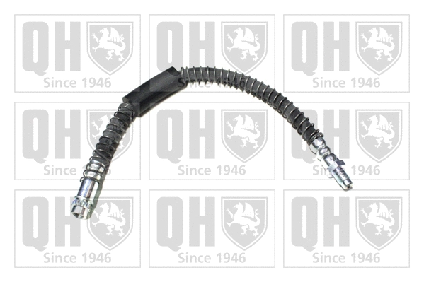 Brake Hose (BFH5669)