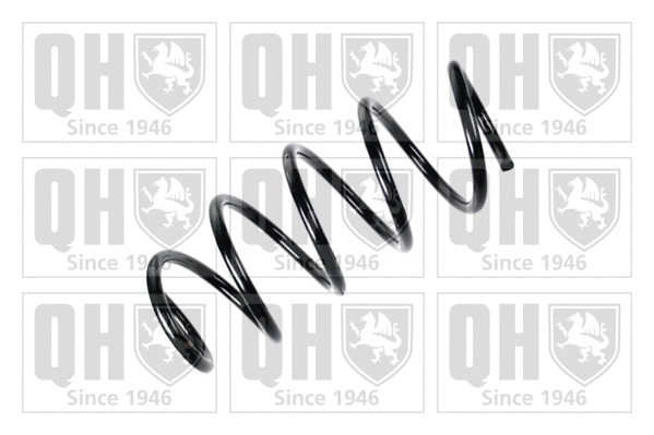 Suspension Spring (QCS8156)