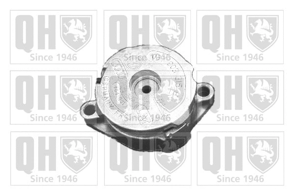 Belt Tensioner, V-ribbed belt (QTA894S)