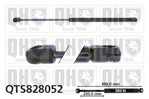 Gas Spring, boot/cargo area (QTS828052)