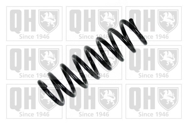 Suspension Spring (QCS6917)