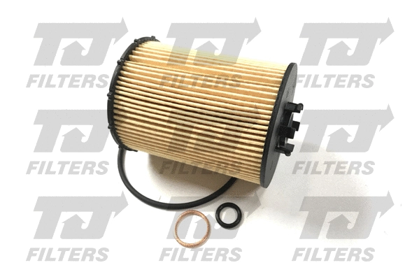 Oil Filter (QFL0351)