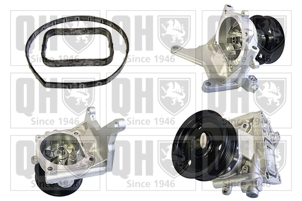 Water Pump, engine cooling (QCP3984)