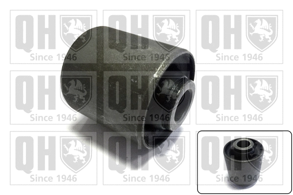 Mounting, control/trailing arm (EMS8005)
