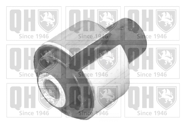 Mounting, control/trailing arm (EMS8218)