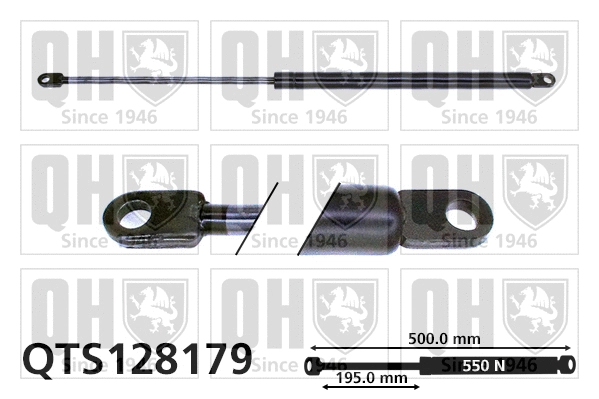 Gas Spring, boot/cargo area (QTS128179)