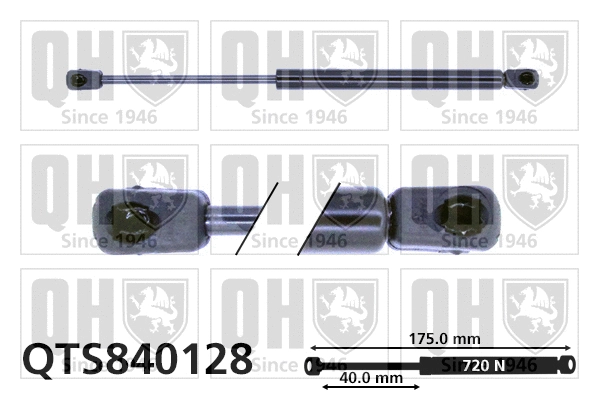 Gas Spring, boot/cargo area (QTS840128)