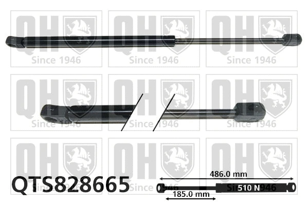 Gas Spring, boot/cargo area (QTS828665)