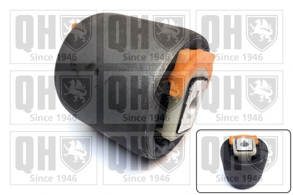 Mounting, control/trailing arm (EMS8236)