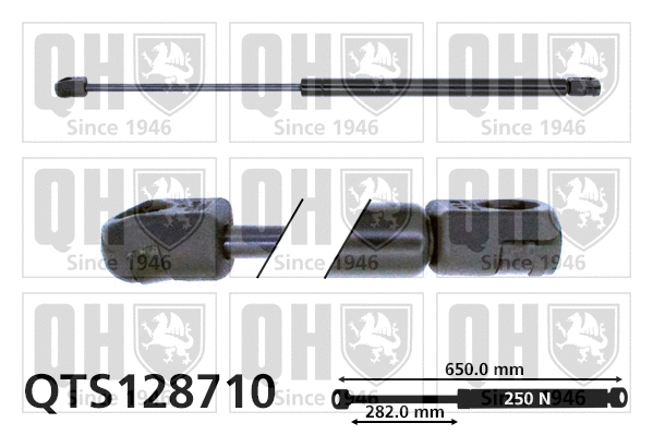 Gas Spring, bonnet (QTS128710)