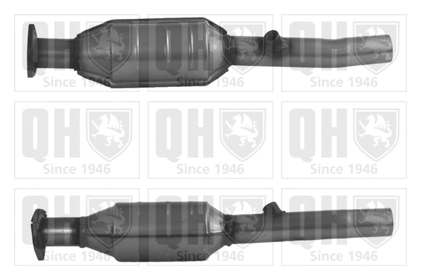 Catalytic Converter (QCAT91248)