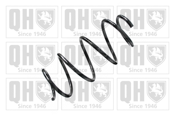 Suspension Spring (QCS6018)