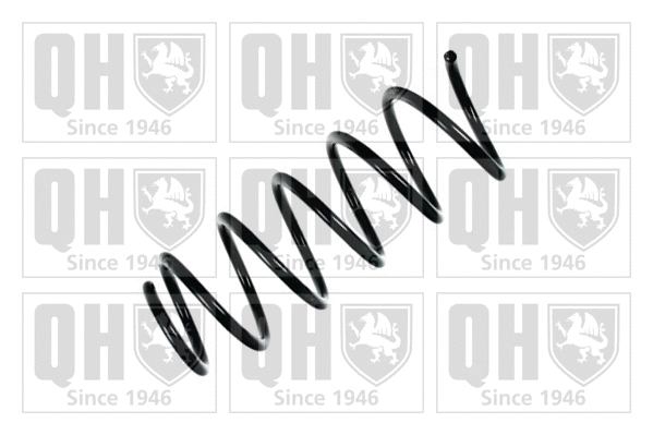 Suspension Spring (QCS5395)