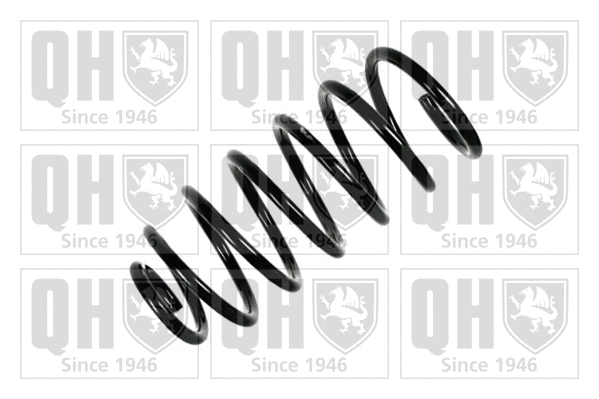 Suspension Spring (QCS5906)