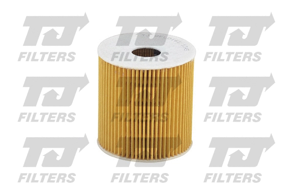 Oil Filter (QFL0161)